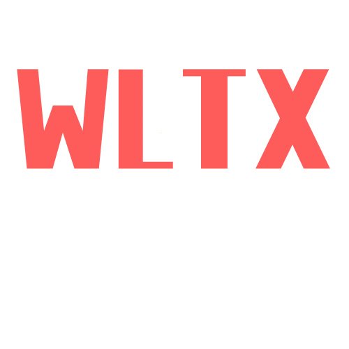 WLTX Theme Template Market